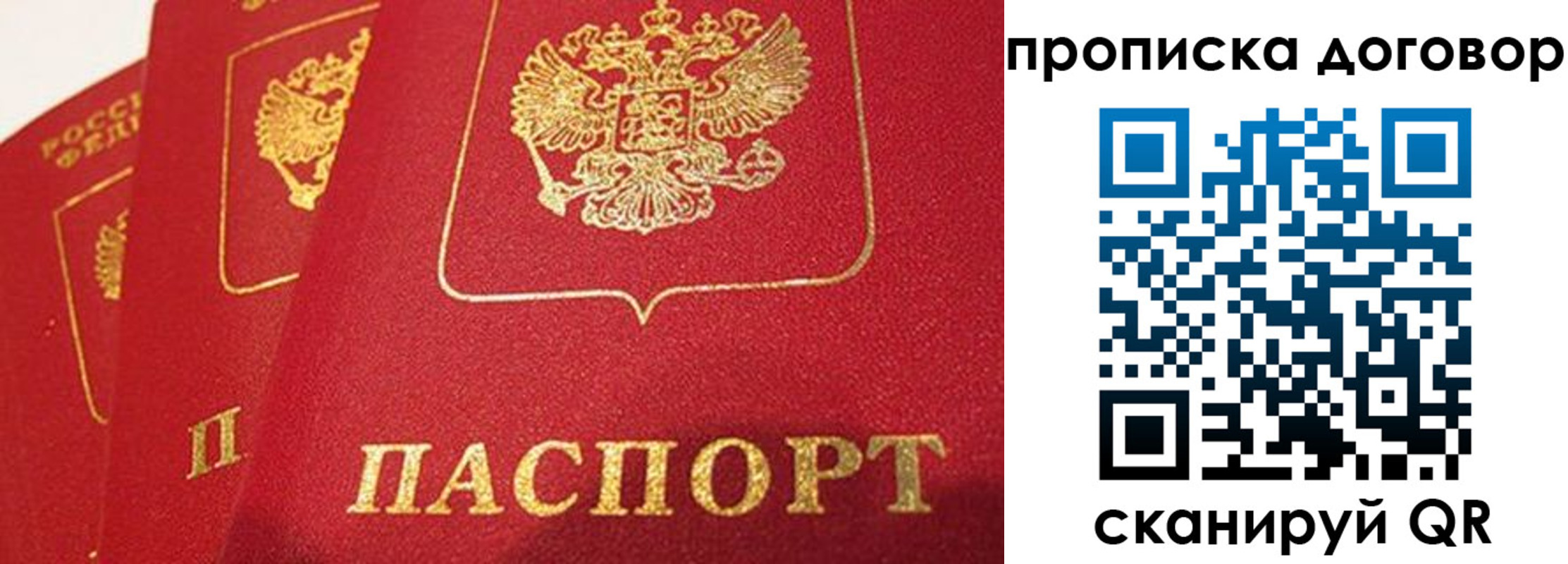 найти адрес прописки в Вилючинске